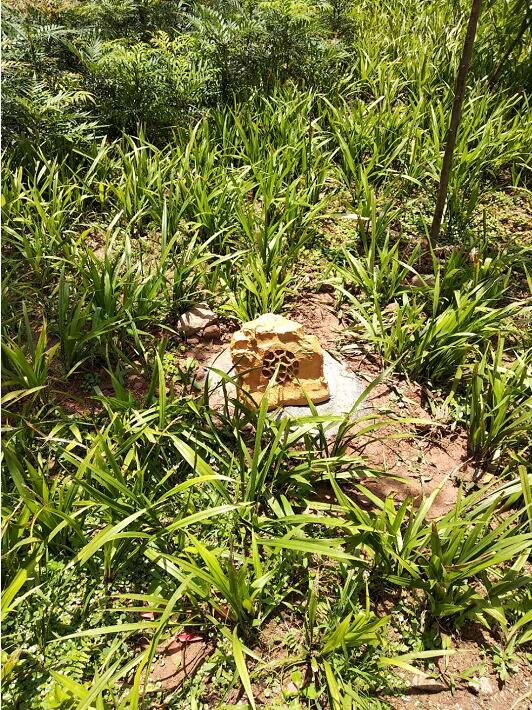 四川巴中文景园小区草坪公共广播系统 四川巴中文景园小区草坪公共广播系统
